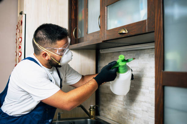 Best Best Pest Control Near Me  in La Luz, NM