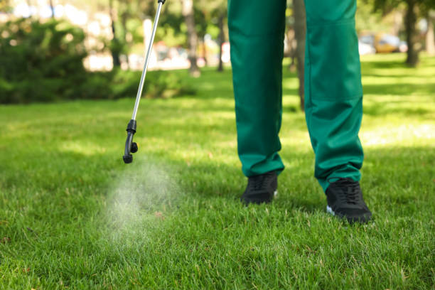 Best Flea Control Services  in La Luz, NM
