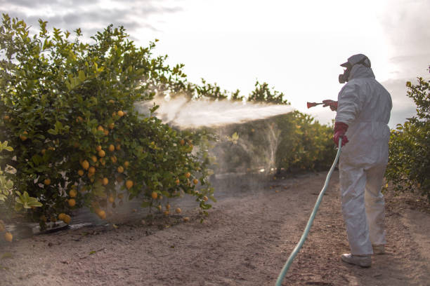 Best Exterminator Services  in La Luz, NM