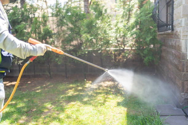 Best Pest Control Treatment  in La Luz, NM